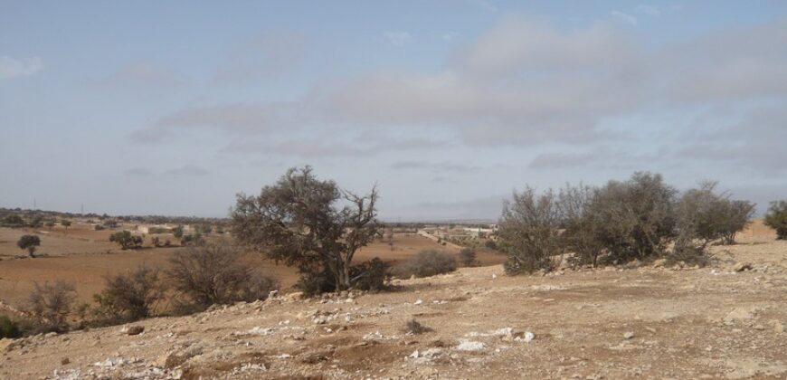 Superbe terrain de 3,5 hectares