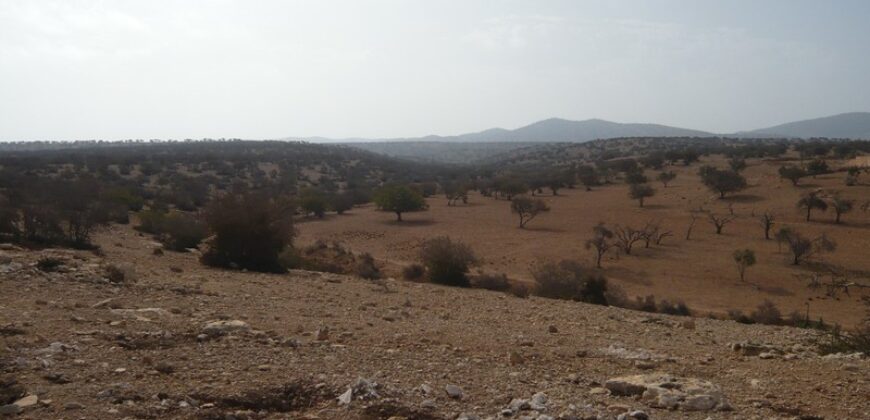 Superbe terrain de 3,5 hectares